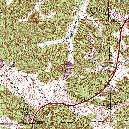 Topographic Map of Cole Lake Dam, MO