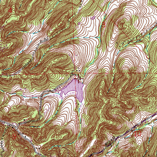 Topographic Map of Four Ridge Dam, MO