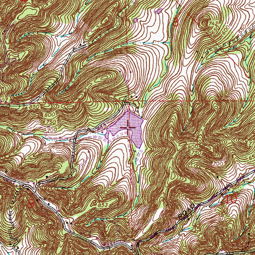 Topographic Map of Four Ridge Lake, MO