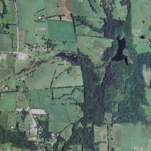 Aerial/Satellite Image of Rieffer Lake Dam, MO