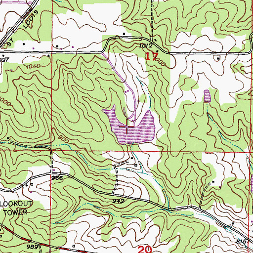 Topographic Map of Pine Lake, MO