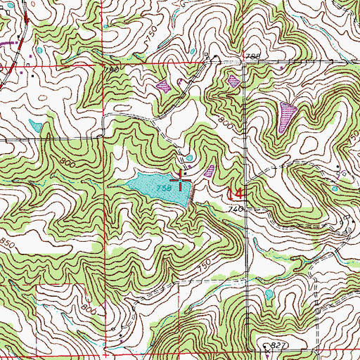 Topographic Map of Netties Greenhouse Lake Dam, MO