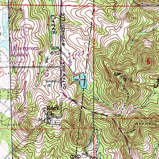 Topographic Map of Lynch Lake, MO