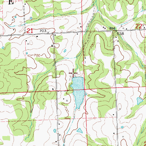 Topographic Map of G Williams Dam, MO
