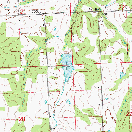 Topographic Map of Williams Lake, MO