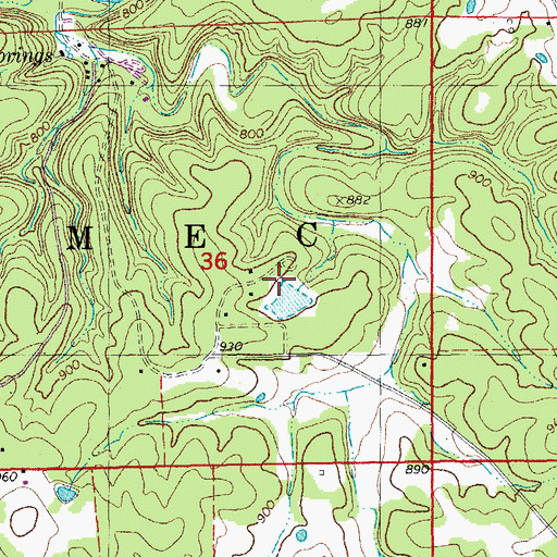 Topographic Map of Smith Lake Dam, MO