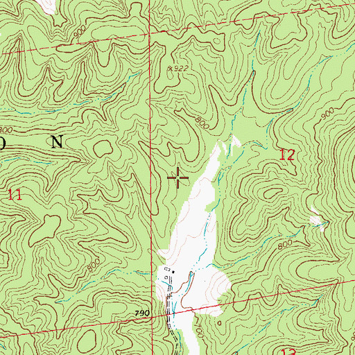 Topographic Map of Walnut Hollow Lake Dam, MO