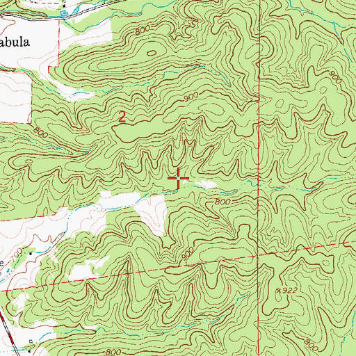 Topographic Map of Walnut Hollow Lake Section 2 Dam, MO