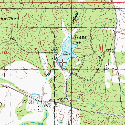 Topographic Map of Brent Lake Dam, MO