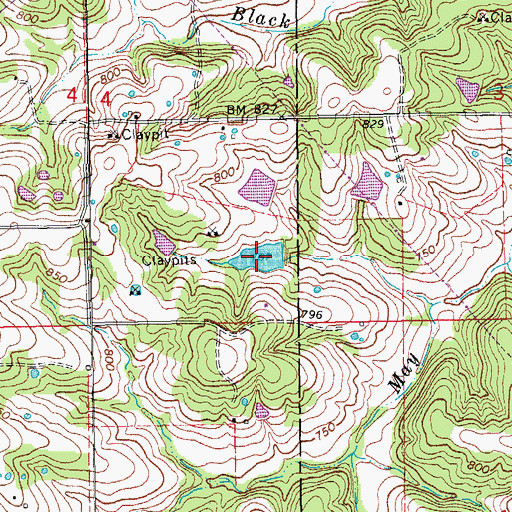 Topographic Map of W J Slais Lake, MO