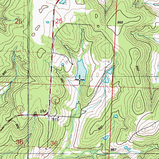 Topographic Map of Mononame 532 Dam, MO