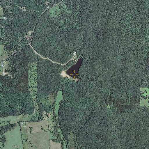 Aerial/Satellite Image of Lake Loomis Dam, MO