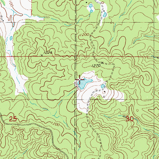 Topographic Map of Geize Lake Dam, MO