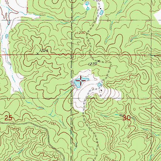 Topographic Map of Geize Lake, MO