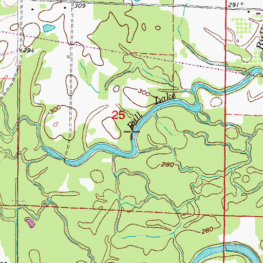 Topographic Map of Bull Lake, AR