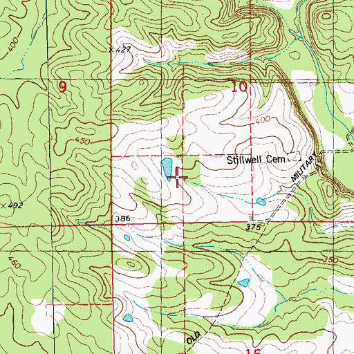 Topographic Map of Smith Lake Dam, MO