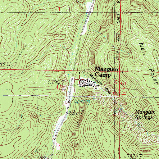 Topographic Map of Mangum Canyon, AZ