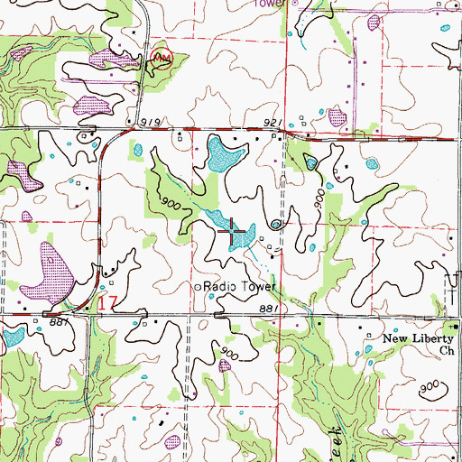 Topographic Map of Herny Lake, MO