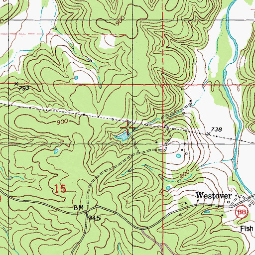Topographic Map of Cobines Folly Dam, MO