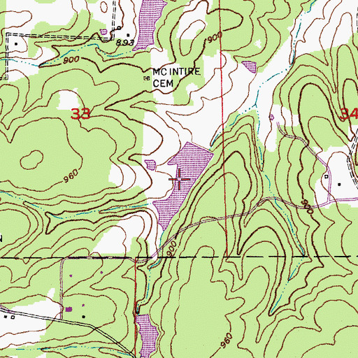 Topographic Map of Frerichs Lake Section 22, MO