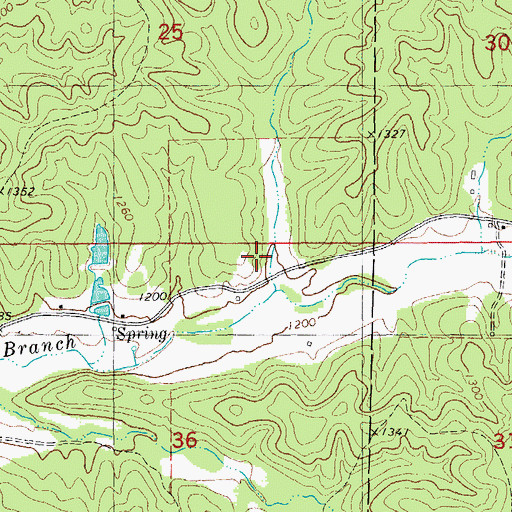 Topographic Map of Bishop Dam, MO