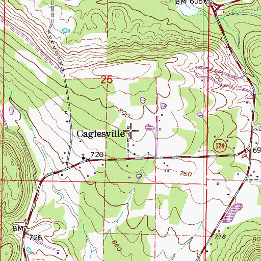 Topographic Map of Caglesville, AR