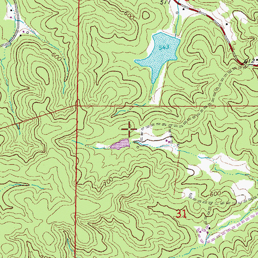 Topographic Map of Collins Lake Section 31 Dam, MO