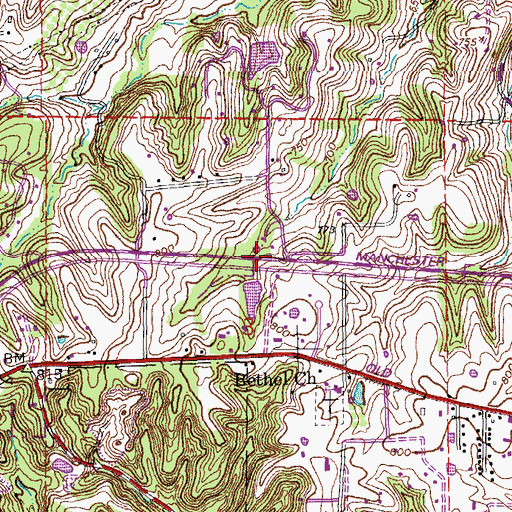 Topographic Map of Kleins Lake Dam, MO