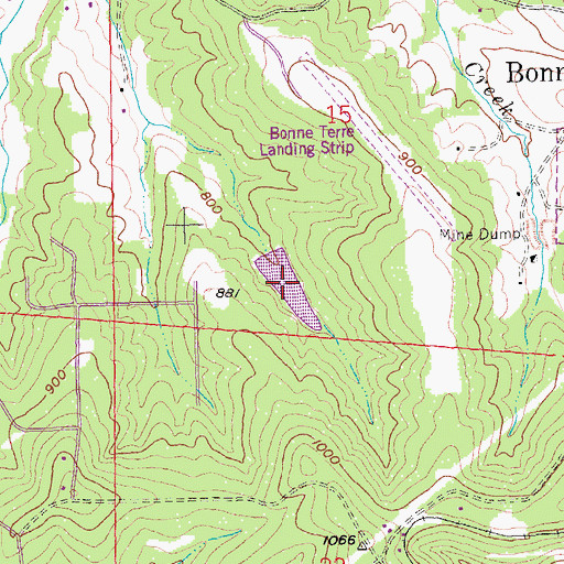 Topographic Map of Welshmans Lake, MO
