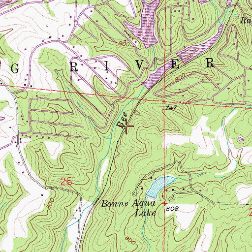 Topographic Map of Bee Run Lake Number 1 Dam, MO