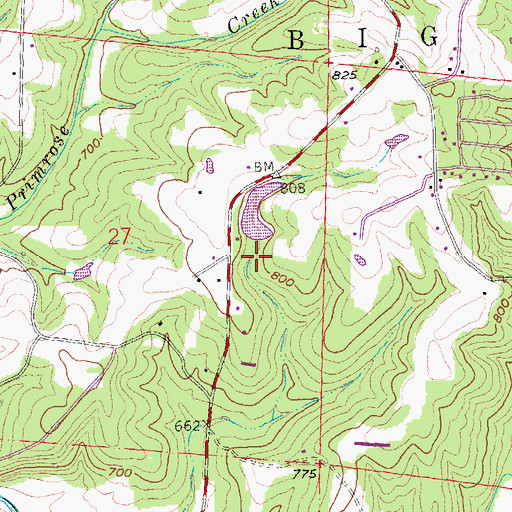 Topographic Map of P J Bass Lake Dam, MO