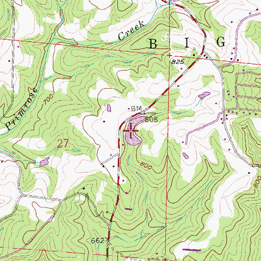 Topographic Map of P J Bass Lake, MO