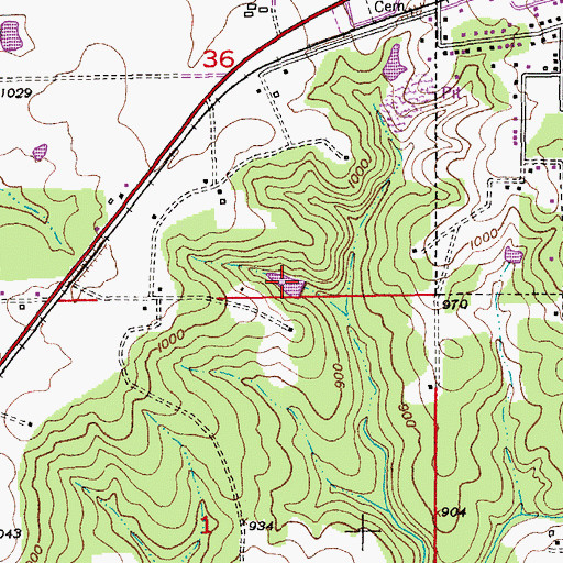 Topographic Map of Weisel Lake, MO