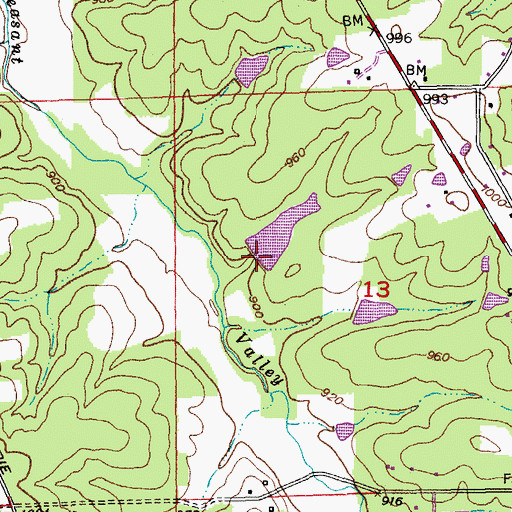 Topographic Map of Sutter Lake, MO