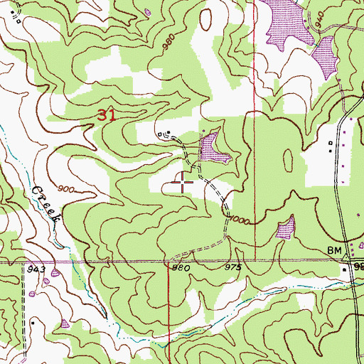 Topographic Map of Eickhoff Lake, MO