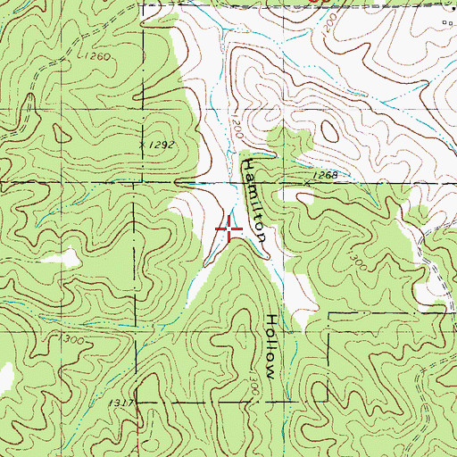 Topographic Map of Tiefenthalers Lake Retreat, MO