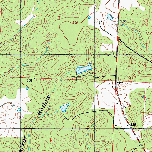 Topographic Map of Dennis Lake Dam, MO