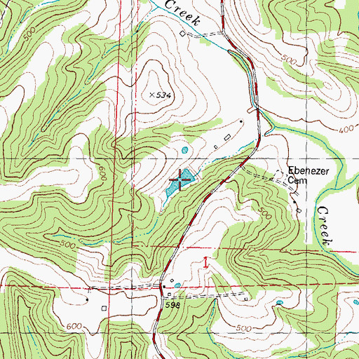 Topographic Map of Bollinger Lake, MO