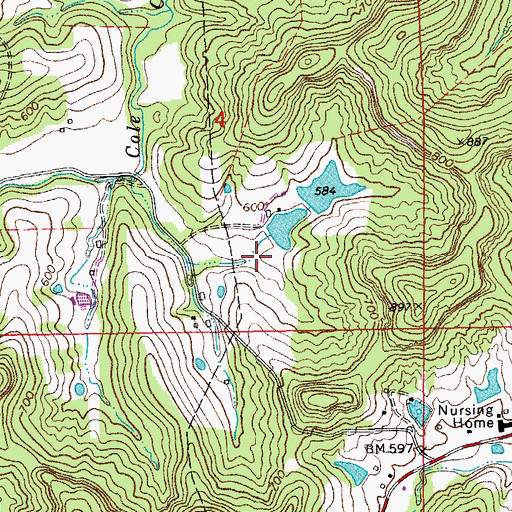 Topographic Map of Walkenbach Lake South Dam, MO