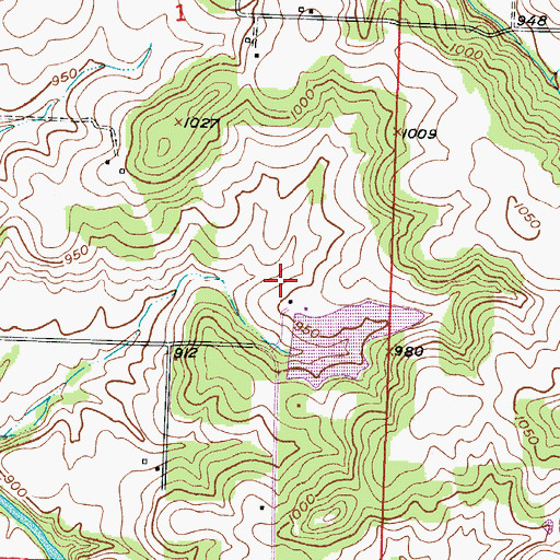 Topographic Map of Woods Lake Dam, MO