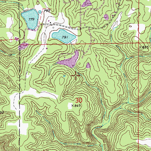 Topographic Map of Lake of the Woods Dam, MO