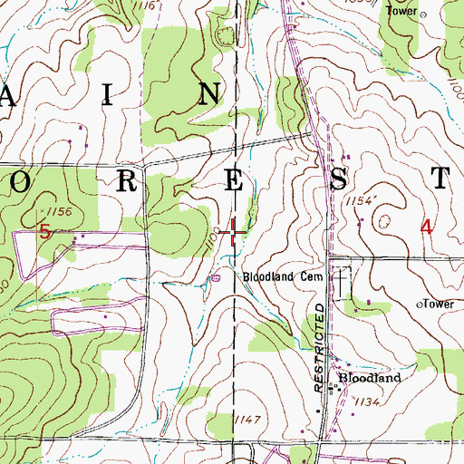 Topographic Map of Bloodland Quad Number 4 Dam, MO