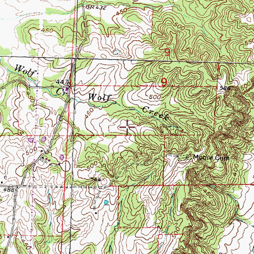 Topographic Map of Rice Lake, MO