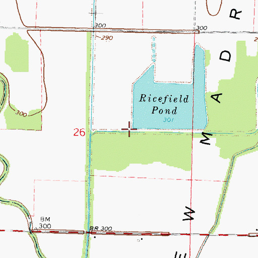 Topographic Map of Ricefield Pond Dam, MO