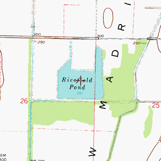 Topographic Map of Ricefield Pond, MO