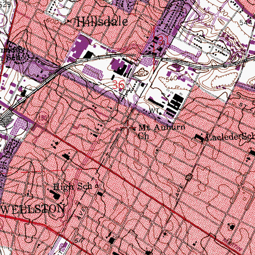 Topographic Map of Mount Auburn Church, MO