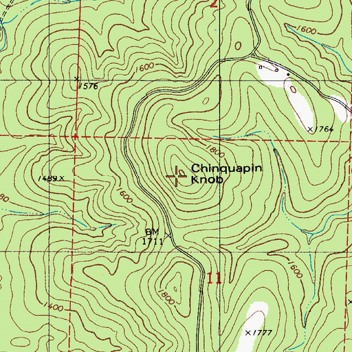Topographic Map of Chinquapin Knob, AR