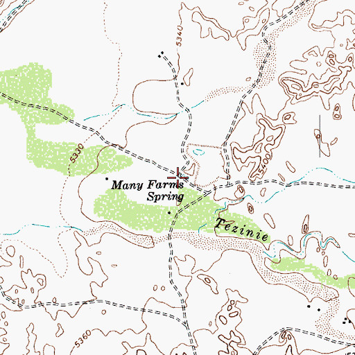 Topographic Map of Many Farms Spring, AZ
