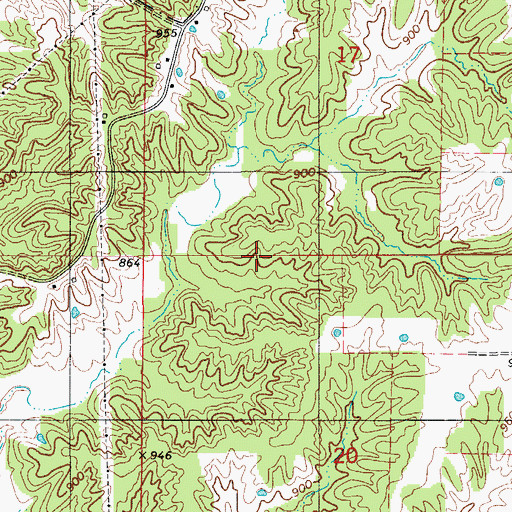 Topographic Map of Township of Pettis, MO