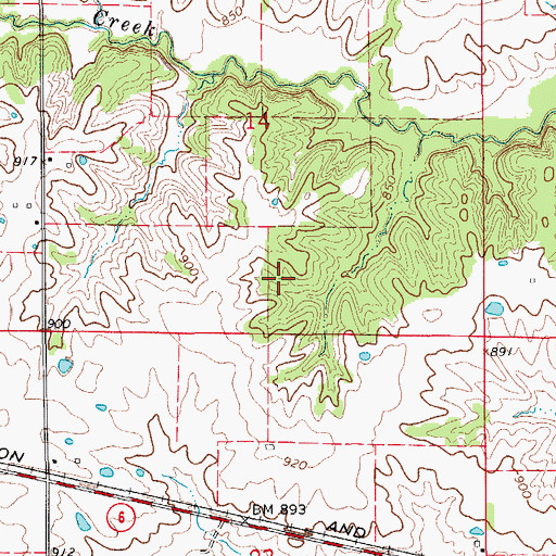 Topographic Map of Township of Salt River, MO